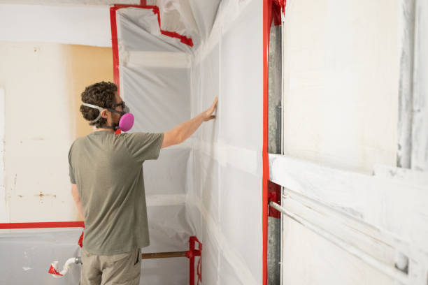 Best Comprehensive Air Testing for Mold Contaminants  in Chamberlain, SD