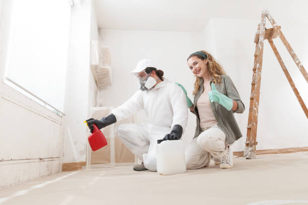 Best Comprehensive Air Testing for Mold Contaminants  in Chamberlain, SD